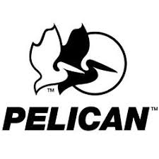 pelican